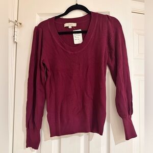 Ann Taylor Loft sweater